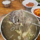 금농 이미지