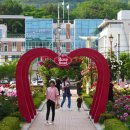 이곡장미공원 이미지