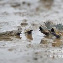 신안세탁 이미지