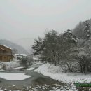 소나무황토집 이미지