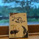 신기강변로 | 남이섬 호텔정관루 후기｜가격·주차·교통·생물관찰