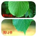 생명나무도서관 이미지