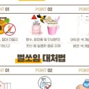 진주소방서 네이버블로그