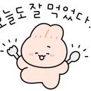 뱅가드(先驅者) 이미지