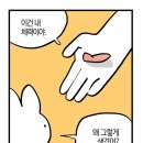 펄스앤드드림 | 8월 30일까지의 일상