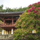 용평동 용호정 이미지