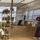 알곡농장 | [용인 무럭무럭 농장] 유아들도 가기 좋은 올해 4번 간 동물농장 방문 후기