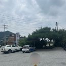종가집곰탕순대국