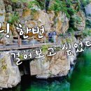 왕피천 은어길 이미지