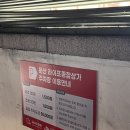 대전 둔산동꽃집 연화플라워 부모님 꽃다발 후기