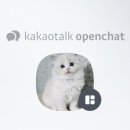 랙돌캐터리 이미지