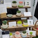 솔숲 | 2025 K-핸드메이드페어 참가후기｜솔숲도자기