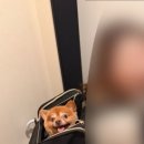 (주)아울렛마트 이미지