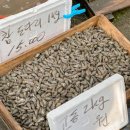 수산진명 이미지