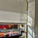 오천8길 | 대구 대봉동 카페 노원더커피