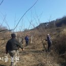 막시골 농원