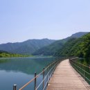 숲으로 가는 길 이미지