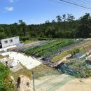 장산역베스트부동산중개 이미지