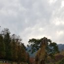 키즈 스토리텔러 이미지