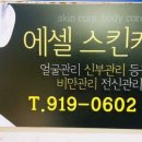 에셀스킨케어 네이버블로그