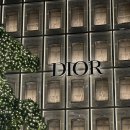 (유)럭키우드 | [서울/성수] 핫플레이스 정복하기 ! 성수역 스시맛집 ' 미키스시 ' 초코 케이크 맛집 카페씨떼 f. 가챠...