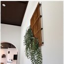 스테이 누누 이미지