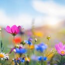 사암명가한의원 이미지