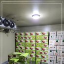 청주식자재마트