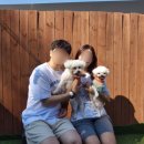 가평 애견펜션 스테이엘 펜션 강아지랑 1박 솔직 후기 (1호실)
