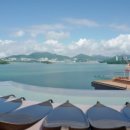 슈가브리움 이미지