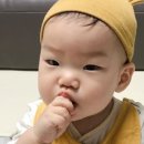 모어댄무드