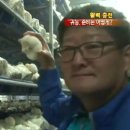 이남주자연아래버섯 이미지