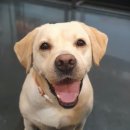 도킹어바웃 이미지