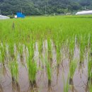 명석농장 이미지