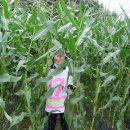 신이남식당 이미지