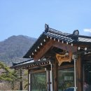 순창 강천산 벚꽃 브런치카페 &#39;카페가온&#39;