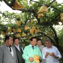 [시사조선]박준영 전남지사,태풍&#39;곤파스&#39;피해 현장서 신속한 복구 당부/전남도 녹색성장위원회 회의...