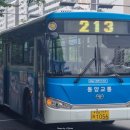 사파동213 이미지