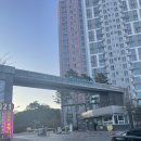 [후기] 우당탕탕 분실한 지갑 찾기 대작전 : 3000번 버스