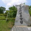 계명산자연휴양림 이미지