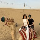 &lt;DUBAI&gt; 두바이 사막투어, 사막사파리 후기 ③ : 낙타 체험, 시샤체험, 헤나체험, 매와 만나기, 공연...