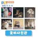 펫아뜰리에 네이버블로그