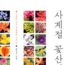 사계절꽃 이미지