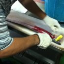 비장어 장어 이미지