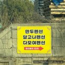 만두독채펜션 이미지