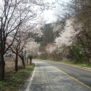 백양2리 이미지