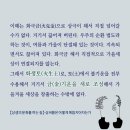 화생토