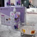 소이건강케어 | 강아지 두유 추천🥛하울팟X밥스누 펫소이밀크 빌베리, 저지방 유당 걱정없는 강아지 두유 후기