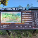 바다향기수목원(바다너울원) | 대부도 갈만한곳 바다향기수목원 가족나들이