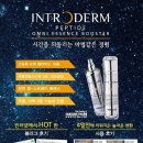 엔케이더블유